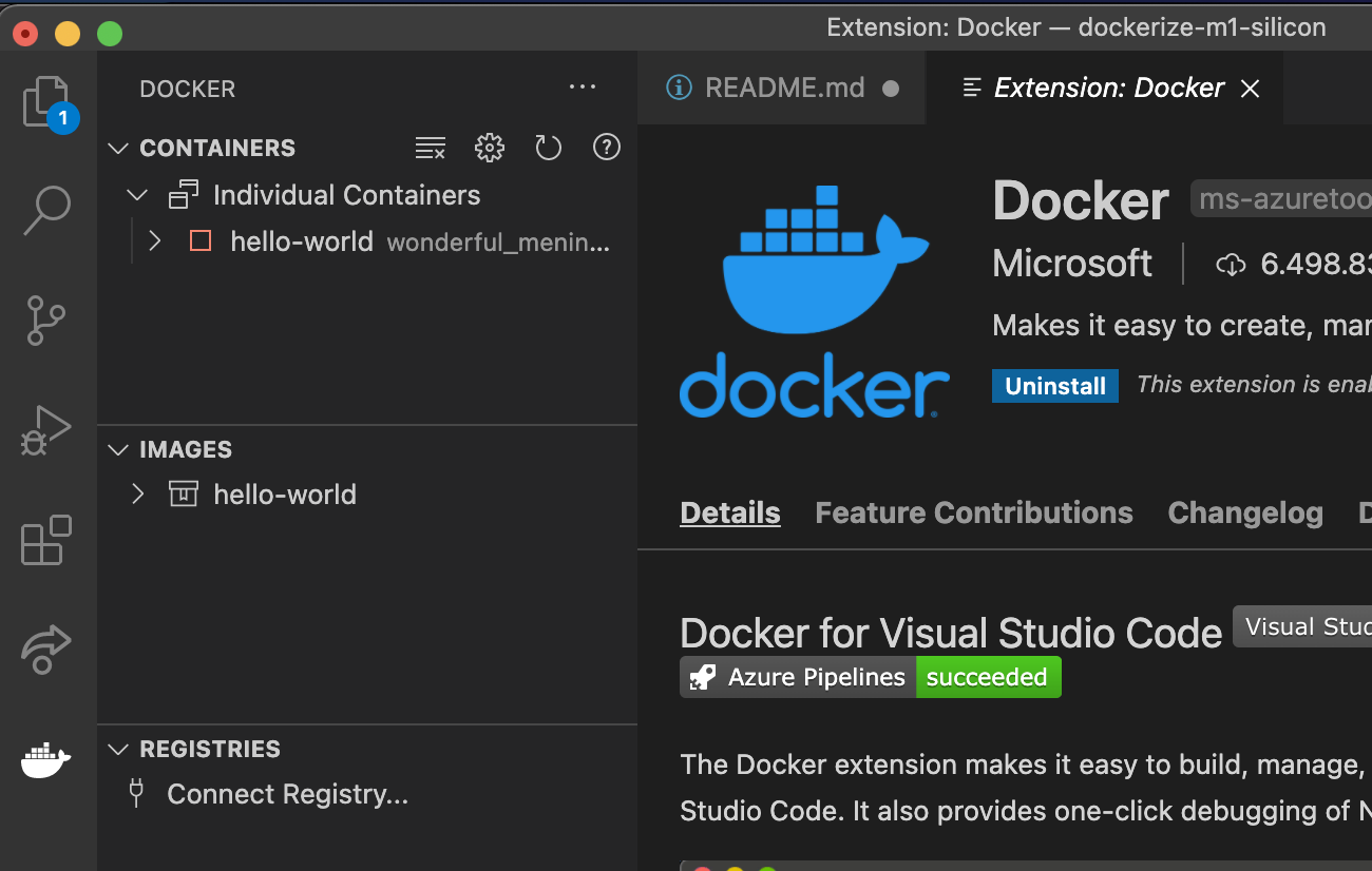 Containerized Silicon Visual Studio Code